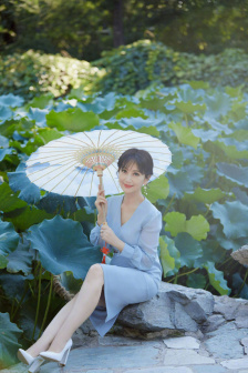 花蝴蝶免费看片